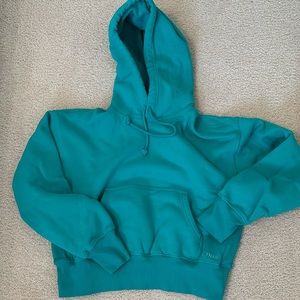Aritzia TNA Cropped Hoodie